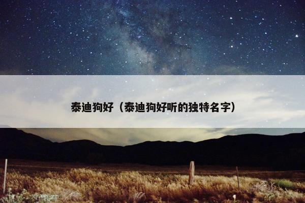 泰迪狗好（泰迪狗好听的独特名字）
