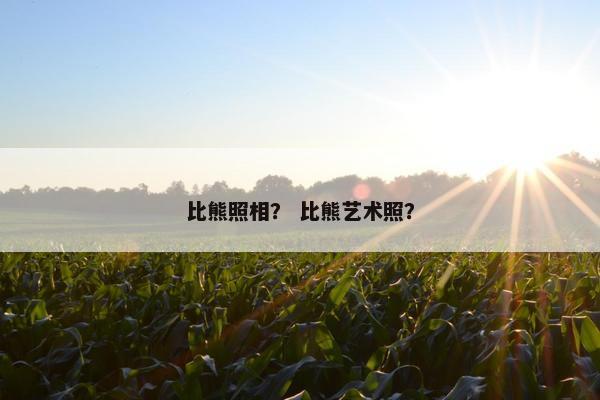 比熊照相？ 比熊艺术照？