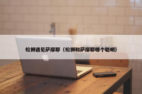 松狮遇见萨摩耶（松狮和萨摩耶哪个聪明）