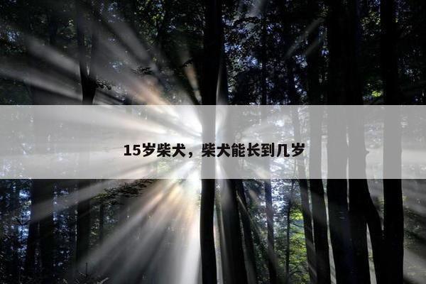 15岁柴犬，柴犬能长到几岁