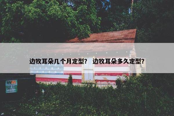 边牧耳朵几个月定型？ 边牧耳朵多久定型？