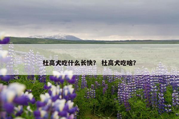 杜高犬吃什么长快？ 杜高犬吃啥？