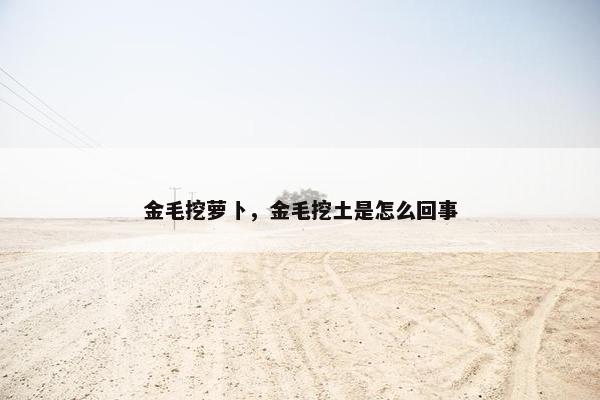 金毛挖萝卜，金毛挖土是怎么回事