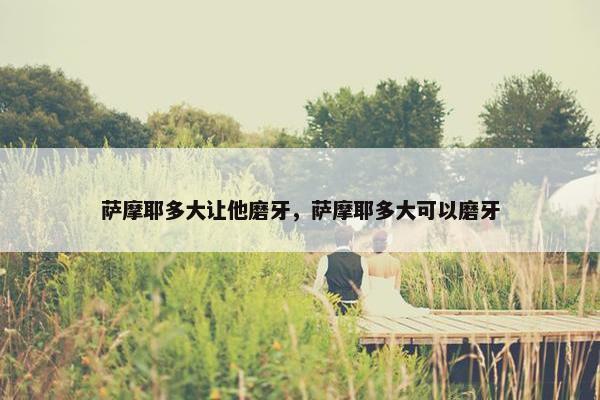 萨摩耶多大让他磨牙，萨摩耶多大可以磨牙