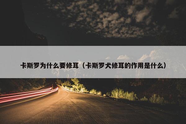 卡斯罗为什么要修耳（卡斯罗犬修耳的作用是什么）