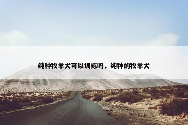 纯种牧羊犬可以训练吗，纯种的牧羊犬