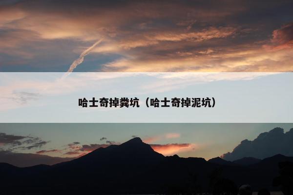 哈士奇掉粪坑（哈士奇掉泥坑）