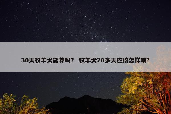 30天牧羊犬能养吗？ 牧羊犬20多天应该怎样喂？