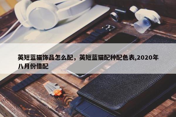 英短蓝猫饰品怎么配，英短蓝猫配种配色表,2020年八月份借配