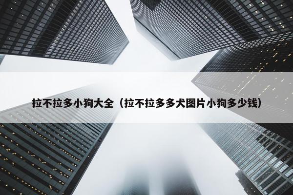 拉不拉多小狗大全（拉不拉多多犬图片小狗多少钱）
