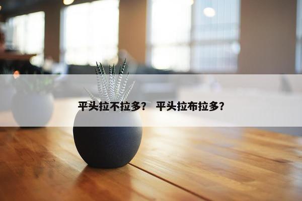 平头拉不拉多？ 平头拉布拉多？