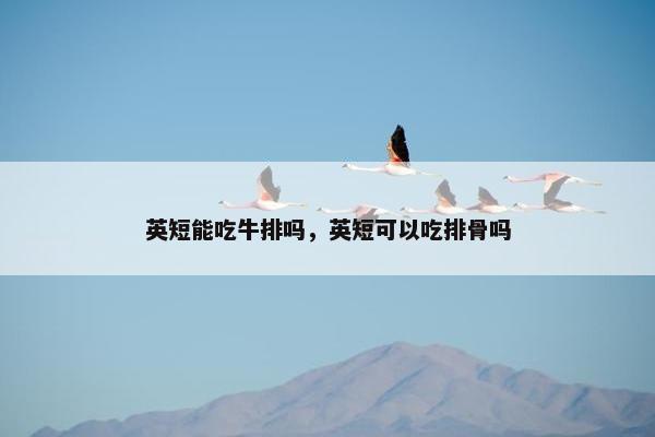 英短能吃牛排吗，英短可以吃排骨吗