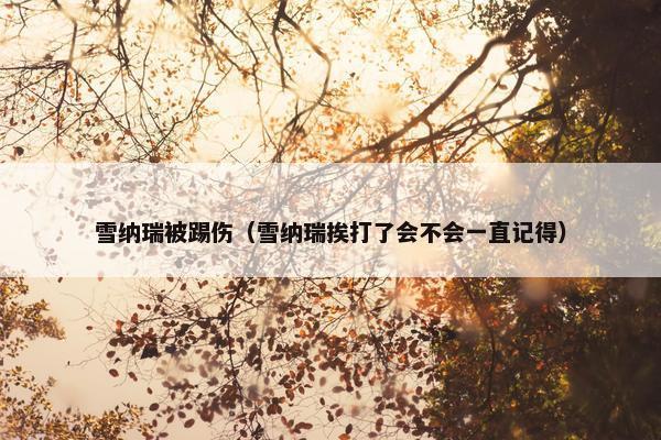 雪纳瑞被踢伤（雪纳瑞挨打了会不会一直记得）