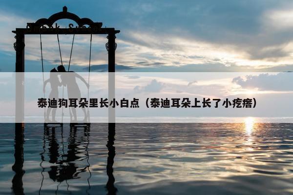 泰迪狗耳朵里长小白点（泰迪耳朵上长了小疙瘩）