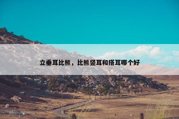 立垂耳比熊，比熊竖耳和搭耳哪个好