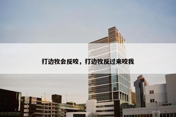 打边牧会反咬，打边牧反过来咬我