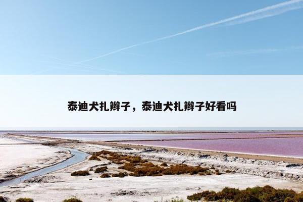 泰迪犬扎辫子，泰迪犬扎辫子好看吗