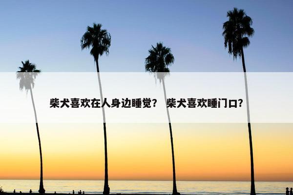 柴犬喜欢在人身边睡觉？ 柴犬喜欢睡门口？