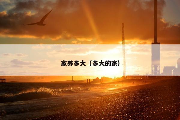 家养多大（多大的家）