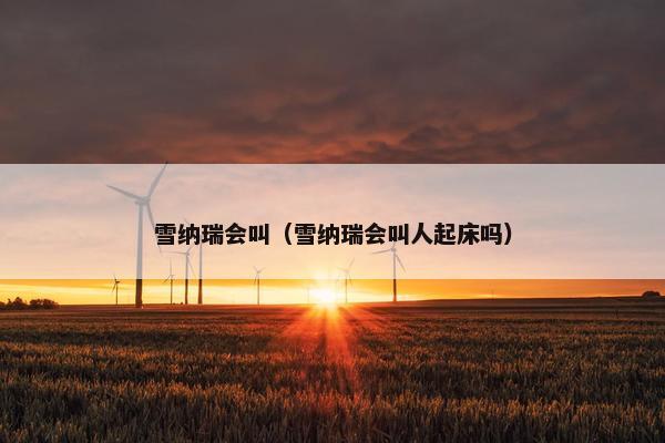 雪纳瑞会叫（雪纳瑞会叫人起床吗）