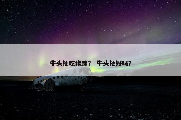 牛头梗吃猪蹄？ 牛头梗好吗？