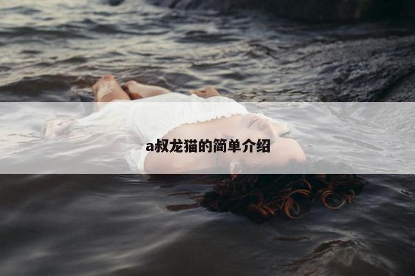 a叔龙猫的简单介绍