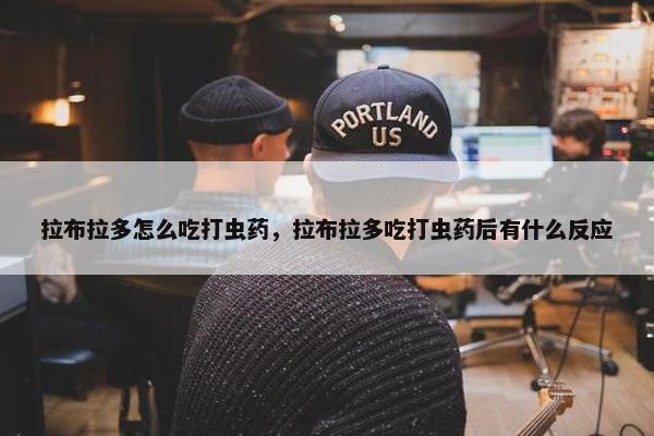 拉布拉多怎么吃打虫药，拉布拉多吃打虫药后有什么反应