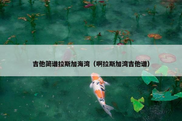吉他简谱拉斯加海湾（啊拉斯加湾吉他谱）
