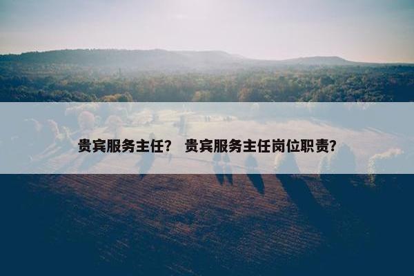 贵宾服务主任？ 贵宾服务主任岗位职责？