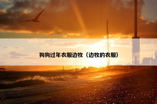 狗狗过年衣服边牧（边牧的衣服）