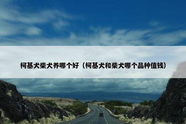 柯基犬柴犬养哪个好（柯基犬和柴犬哪个品种值钱）