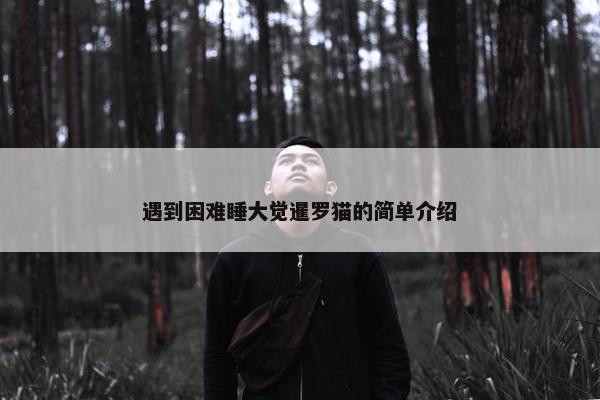 遇到困难睡大觉暹罗猫的简单介绍