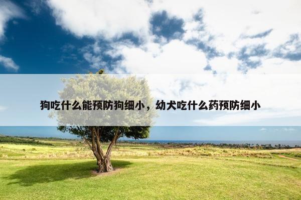 狗吃什么能预防狗细小，幼犬吃什么药预防细小