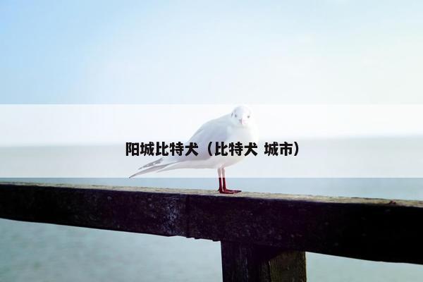 阳城比特犬（比特犬 城市）