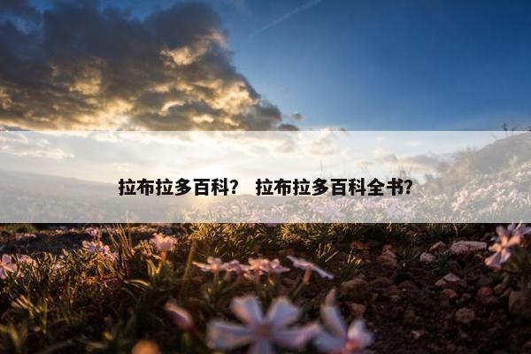 拉布拉多百科？ 拉布拉多百科全书？