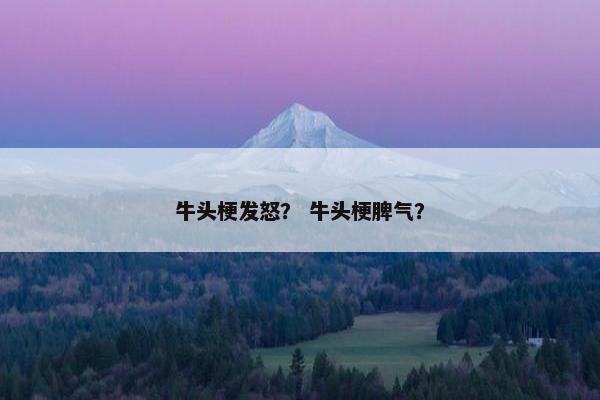 牛头梗发怒？ 牛头梗脾气？
