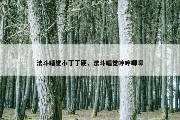 法斗睡觉小丁丁硬，法斗睡觉哼哼唧唧