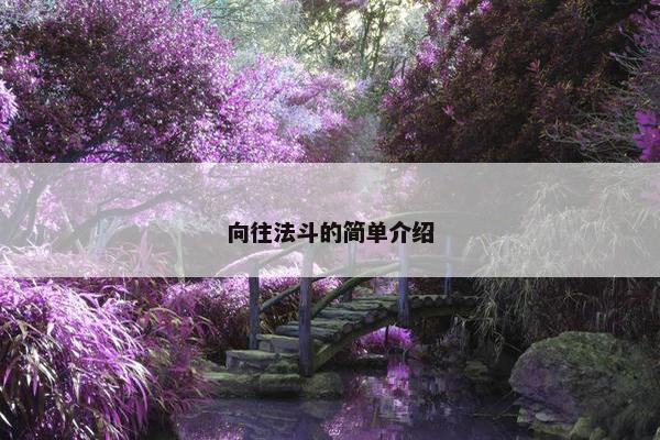 向往法斗的简单介绍