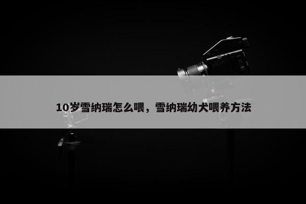 10岁雪纳瑞怎么喂，雪纳瑞幼犬喂养方法