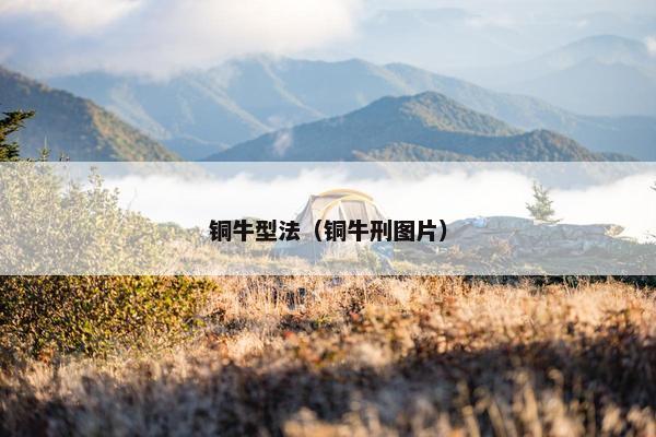 铜牛型法（铜牛刑图片）