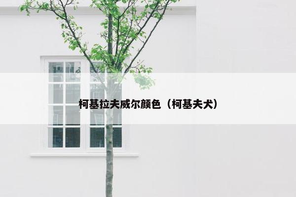 柯基拉夫威尔颜色（柯基夫犬）