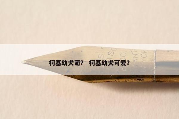 柯基幼犬萌？ 柯基幼犬可爱？
