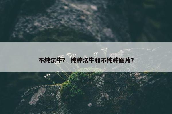 不纯法牛？ 纯种法牛和不纯种图片？