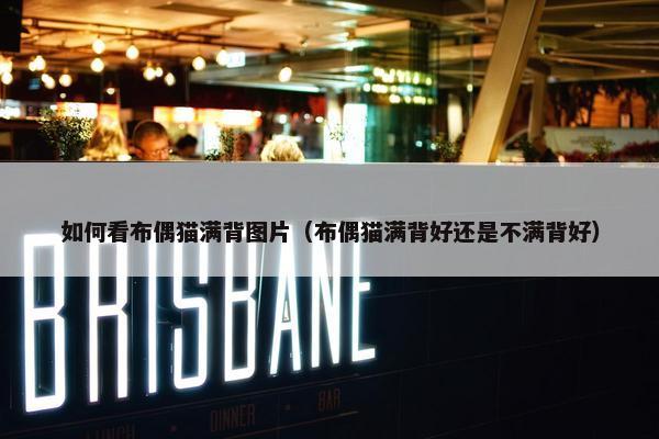 如何看布偶猫满背图片（布偶猫满背好还是不满背好）