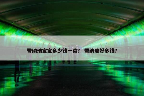 雪纳瑞宝宝多少钱一窝？ 雪纳瑞好多钱？