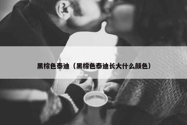 黑棕色泰迪（黑棕色泰迪长大什么颜色）