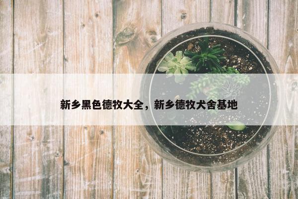 新乡黑色德牧大全，新乡德牧犬舍基地