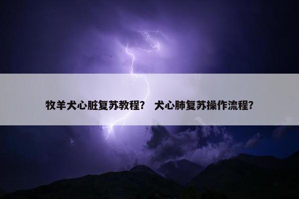 牧羊犬心脏复苏教程？ 犬心肺复苏操作流程？
