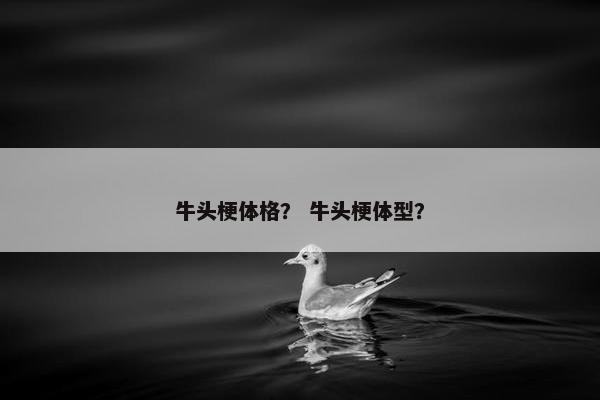 牛头梗体格？ 牛头梗体型？