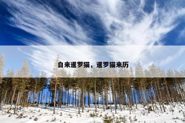 自来暹罗猫，暹罗猫来历